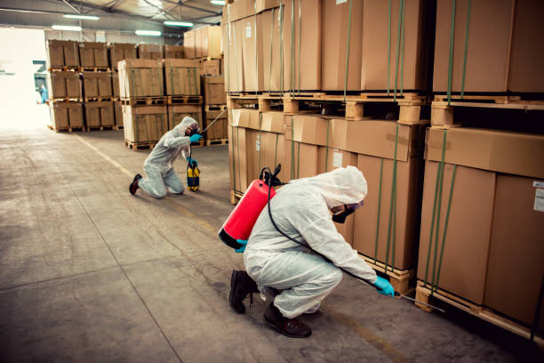 Best Affordable Pest Control Services  in , MT
