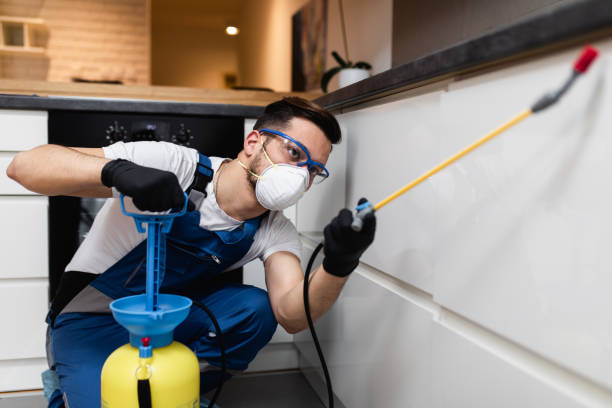 Best Pest Removal Services  in , MT