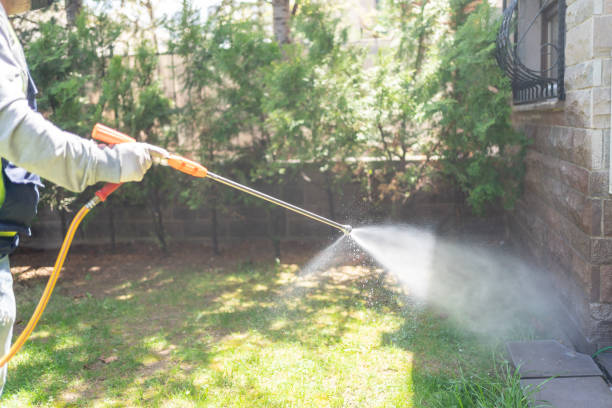 Best Flea Control Services  in , MT