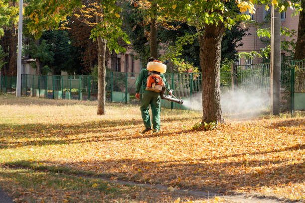 Best Mosquito Control Services  in , MT