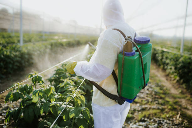 Best Best Pest Control Companies  in , MT